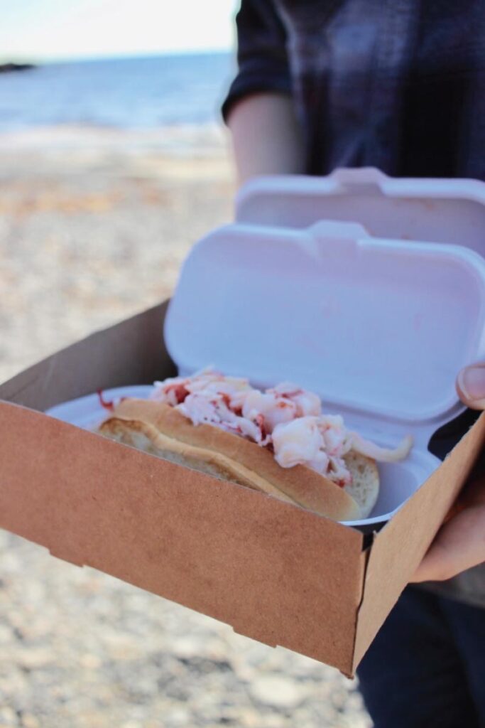 Maine lobster rolls
