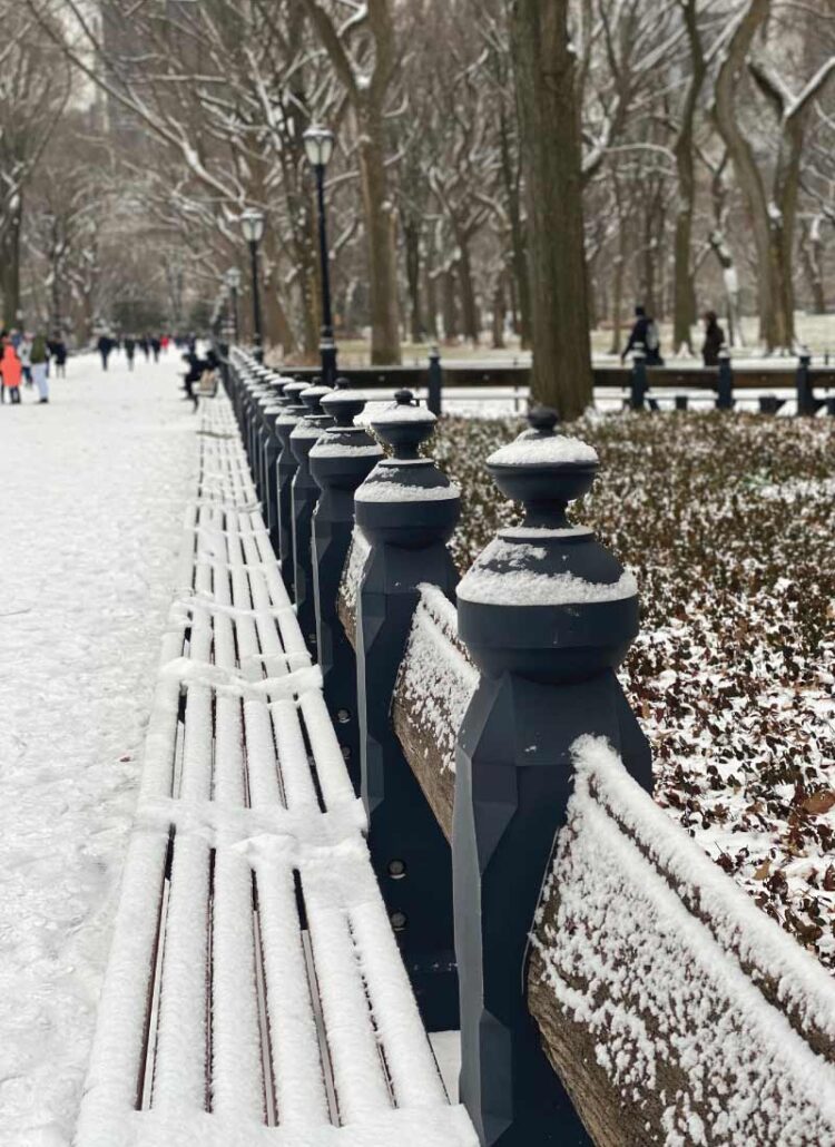 Central Park bench in the snow