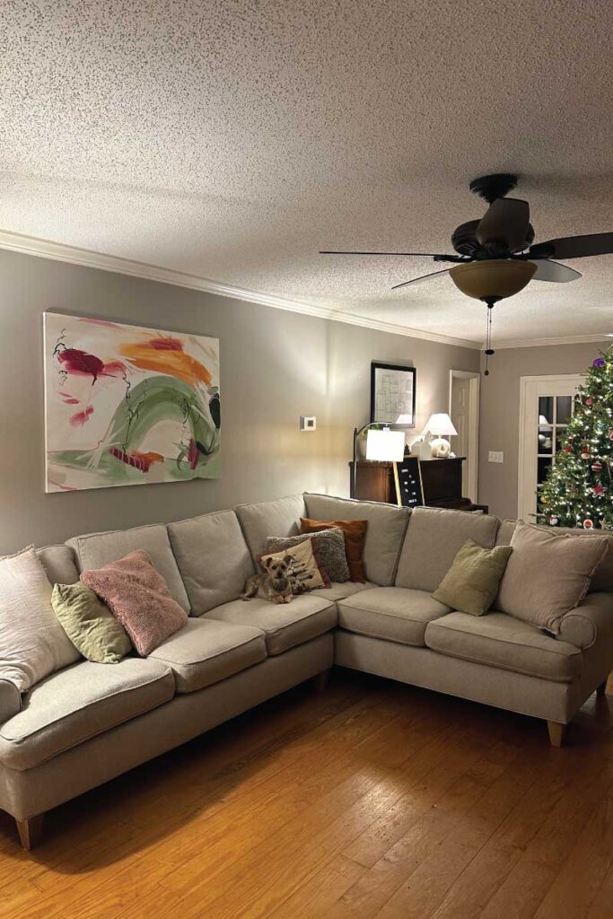 living room with a grey sectional sofa