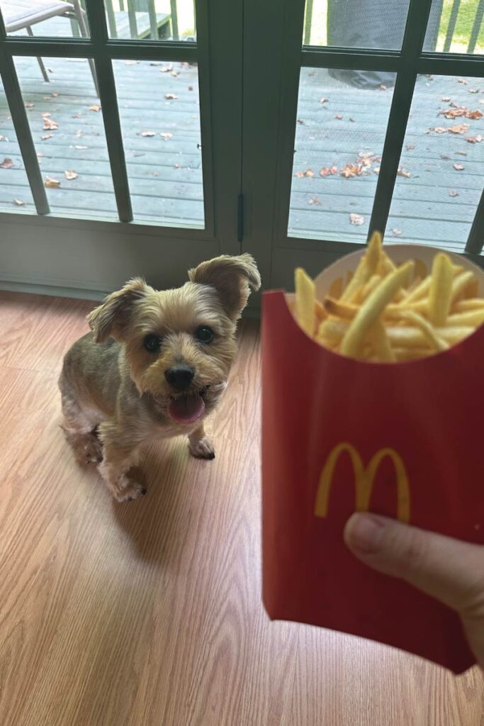 Schmidt and McDonald's french fries